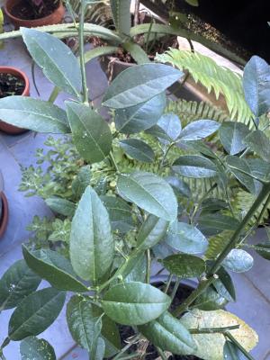 6F399FE4 C8AB 4FAE 84E4 63593AA2793E