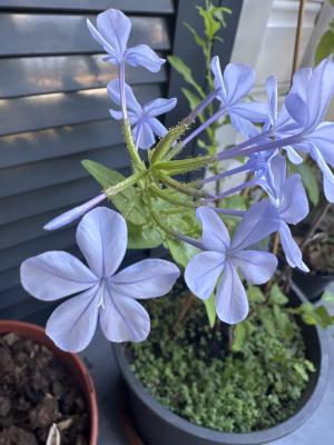 B8A8AF6C 5A95 4758 9581 4B2CD010C610