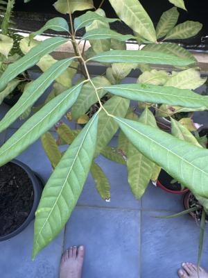 CC1762D3 EAAF 4B5E BEAA C6A6A05EAF9A